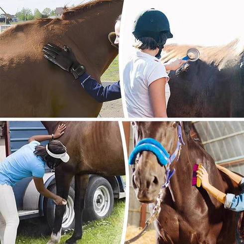 La La Pet 11Pcs Set Grooming Kit with Bag - Brush for Horse Cleaning, Care and Tack Room Supplies