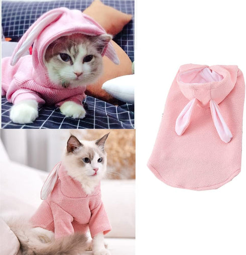 ANIAC Dog Hoodies Sweatshirt with Bunny Ears, Spring Puppy Clothes for Small Dog Girl Boy, Soft Sweater (Large, Pink)