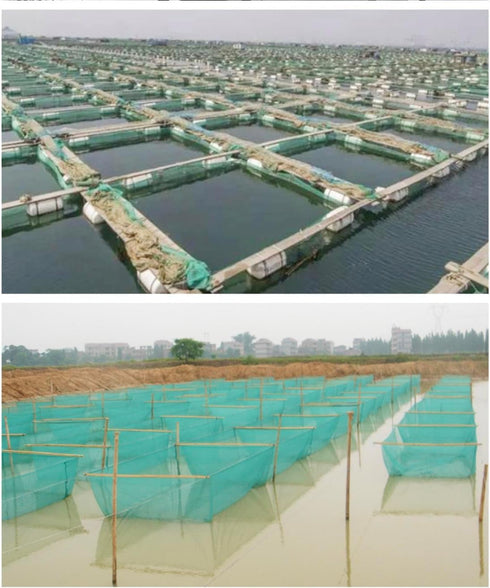 Strong Anti-Escape Aquaculture Net for Fishing - Ideal for Crabs, Shrimp & Fish