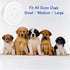 EverNary Dog Door Bell for Potty Training, Dog Bells to Go Outside, 2 Receiver 2 Transmitters for Training