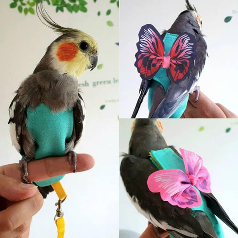 BASICGOLDYAO 2 (2 Pcs Bird Diaper Harness Flight Suit with Waterproof Liner Pet Bird Nappy Clothes with Flying Leash