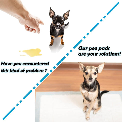 Chinchillas, (3345CM-100 Counts) Rabbit Pee Pads, Disposable Super Absorbent Diaper, Pet Toilet/Potty Training Pads