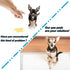 20 Chinchillas, Pcs Rabbit Pee Pads, Disposable Super Absorbent Diaper, Pet Toilet/Potty Training Pads for Guinea Pigs
