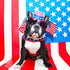 ComfortFlex Sport Harness - American Made No Pull Dog Harness for Large Dogs, Lightweight, Padded