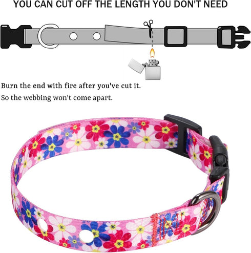 Rhea Rose 3/4 Inch Pink Daisy Replacement Collar Strap - Shock Collar with 2 Holes, Compatible with Most Brands