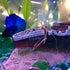 Titanic Shipwreck Decorations - Aquarium Environment Friendly Decorations, Resin Material Ship Decorations, Fish Tank