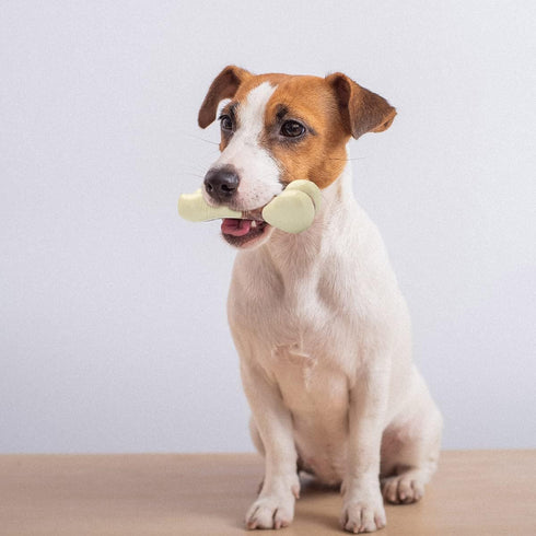 Tikaton Dog Chew Toys for Aggressive Chewers, Durable Peanut Butter Flavor Teething Chew Toys for Large/Medium/Small