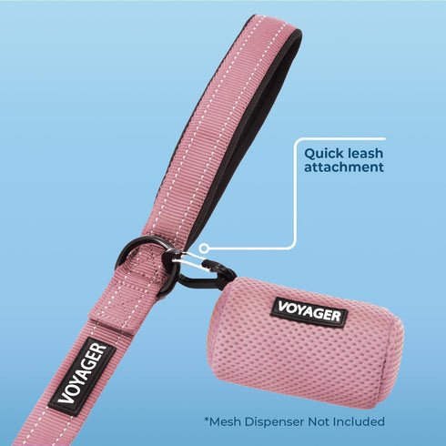 Best Pet Supplies Voyager Reflective Dog Leash, 5ft Long, Neoprene Handle, Supports Small Medium Large Puppies