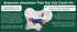 Disposable Dog Diapers Keeper Fits Male Or Female Dogs with American Textile and Wrap Around Legs for Superior Fit (XL