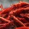 Swimming Creatures Premium Neocaridina Shrimp Freshwater Aquarium Shrimp (20, Premium FIRE RED)
