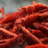 Swimming Creatures Premium Neocaridina Shrimp Freshwater Aquarium Shrimp (20, Premium FIRE RED)