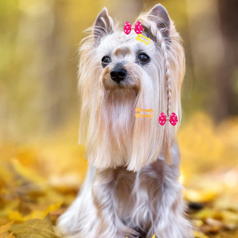 PET SHOW 50Pcs/25Pairs Hair Clips for Small Dogs, Cute 1 Inch Puppy Barrettes, Mini Bone Shaped Snap Hair Bows