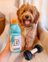 Nestpark Fitness Funny Dog Toys - Doggyade and Doggy Dumbbell Workout Parody - 2 Pack