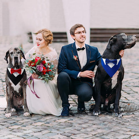 Dog Tuxedo Collar Suit for Wedding Engagement and Birthday, Formal DogTux Bandana Costume with Red Bow Tie, Adjustable