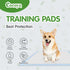 COCOYO Large Dog Training Pads Value Pack (30 Count, 26x30 inch) for Eliminating Urine Odor