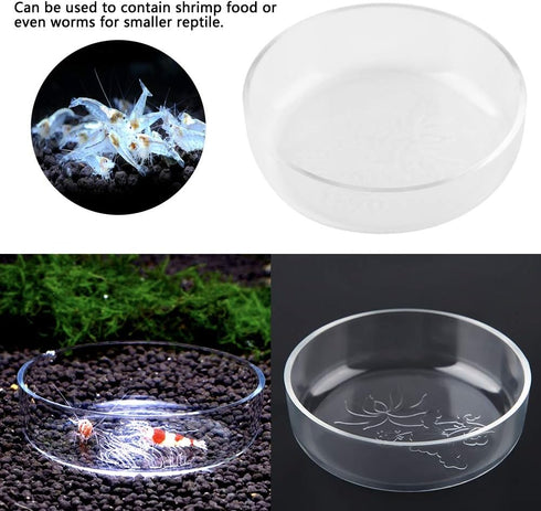 Acrylic Aquarium Shrimp Feeding Dish Bowl, Transparent Food Container Feeder Tray for Smaller Reptiles and Pets