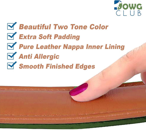 Formal Tuxedo Shirt Collar Style Genuine Leather Collar for Dogs & Cats - Comfortable Napa Padding (Tan, XL 22"-26")
