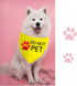 JXGZSO 1 Piece Stop Dot Not Pet Bandana, Do Not Distract Dog, No Touch No Talk