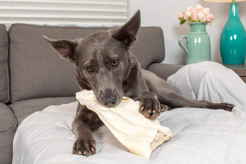 Original Large Cow Ears for Dogs - All Natural Premium Grade Rawhide Alternative Chews, 20 Pack