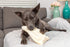 Original Large Cow Ears for Dogs - All Natural Premium Grade Rawhide Alternative Chews, 20 Pack