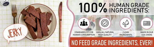 Pet Jerky Factory Turkey & Pumpkin 12 oz. Dog Jerky Treats | 100% Human Grade | USA Made | High Protein