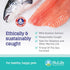 100% Pure Omega 3 Fish Oil for Dogs & Cats - Pet Supplement with DHA & EPA for Healthy Skin - 120 Capsules