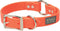 Brahma Webb Hunting Dog Collar, 1" x 23", Blaze Orange