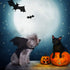 Rypet Dog Halloween Costume, Bat Wings Pet Costumes for Dogs & Cats, Halloween Party Large