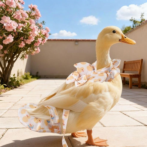 Magnoloran Chicken Diapers for Hens, Roosters, Diapers for Ducks with Walking Leash, Reusable Pet Duck Diapers Chick