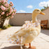 Magnoloran Chicken Diapers for Hens, Roosters, Diapers for Ducks with Walking Leash, Reusable Pet Duck Diapers Chick