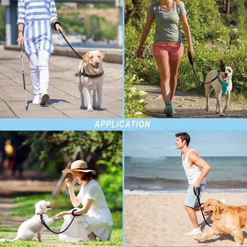 3FT/6FT/10FT Climbing Rope Leash for Dogs with Comfortable Padded Handle, Classic Leash for Medium Large Dogs