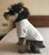 Lovelonglong Dog Pullover Sweatshirt, Autumn Winter T-Shirts for Small Medium Large Dogs, Off-White L