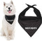 Parisian Pet Quirky Dog Bandana – ‘Security’ Printed Tie-On Neck Kerchief for Dogs, Cats, Puppies – Medium Size