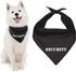 Parisian Pet Quirky Dog Bandana – ‘Security’ Printed Tie-On Neck Kerchief for Dogs, Cats, Puppies – Medium Size