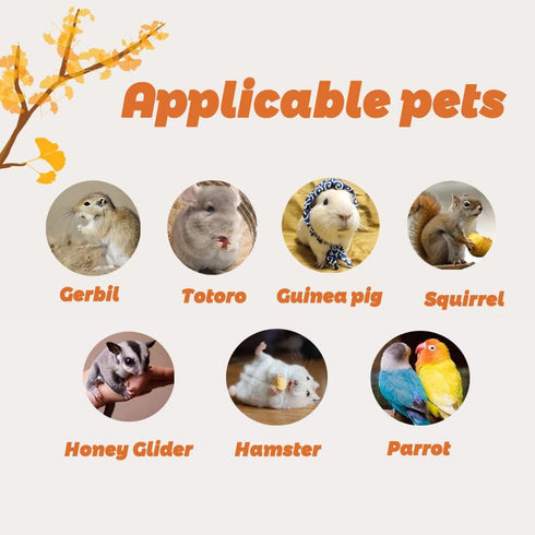 Small Animal Bed Nest Hammock, Winter Warm Comfortable Fit for Squirrel, Sugar Glider, Gerbil, Rat, Hamster