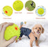 LaRoo Squeaky Dog Ball Toy, Durable Natural Rubber Chew Toy for Small Medium Large Dogs, Floating Training (6.5CM Green)