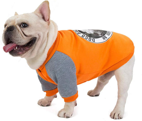 Bulldog Dog Clothes - Pet Sweater for Bulldogs (M, Orange)