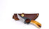 Titan International Skinning Knife - Small Fixed Blade Hunting Knife with Burnt Bone Handle & Leather Sheath