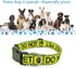 Dog Collar - DO NOT PET, Sturdy Durable with Buckle, Yellow Adjustable Polyester Collar for Small Medium Large Dogs