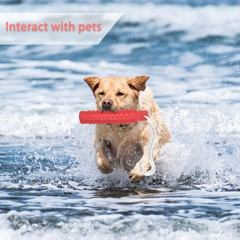 BINGPET Dog Float Bumper Toy - 10.8 Inch Large Training Dummy for Summer Pool Tug Game