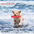 BINGPET Dog Float Bumper Toy - 10.8 Inch Large Training Dummy for Summer Pool Tug Game