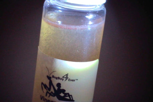 BugBoy4Ever (2) Two Live Vinegar eel (Turbatrix aceti) Starter Culture Vials - Cultured in apple cider vinegar (