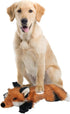 ALL FOR PAWS Dog Squeaky Fox Toy - Stuffed Animal Plush Chew Toy for Large Dogs