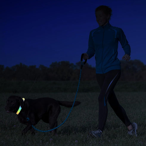 LED Pet Collars, USB Rechargeable Light Up Dog Collars, Waterproof and Adjustable for Small Medium Large Dogs, Night