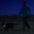 LED Pet Collars, USB Rechargeable Light Up Dog Collars, Waterproof and Adjustable for Small Medium Large Dogs, Night