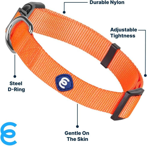 Blueberry Pet Essentials Small Dog Collar, Florence Orange Nylon Quick Release Collar for Girls