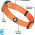 Blueberry Pet Essentials Small Dog Collar, Florence Orange Nylon Quick Release Collar for Girls
