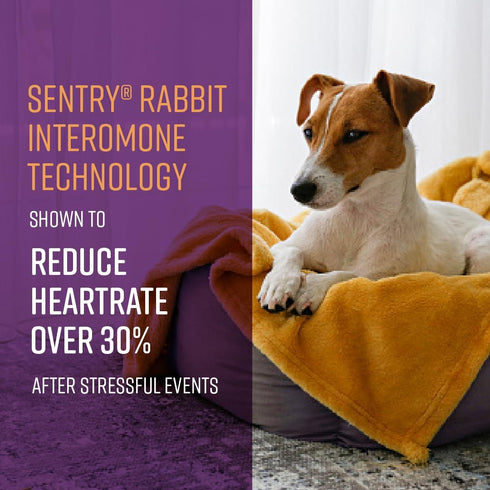 Sentry Behavior Portable Calming Diffuser for Dogs, Reduces Stress and Bad Behavior with Calming Pheromones, 30 Day