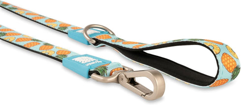 Max & Molly Classic 4 ft Dog Leash - Strong, Padded, Waterproof - Stylish Patterns for Boy & Girl Dogs - Durable, Lightweight, Comfortable for Small Dogs - Pineapples, Small