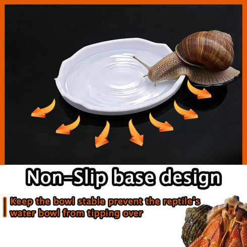 DQITJ 2 Pcs Snail Water and Food Bowl Hermit Crab Feeding Dish for Snail Crab Millipede Cricket Tarantula Insect